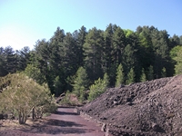 nte Rossello-27052012 031